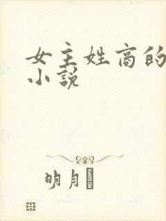 女主姓商的现代小说