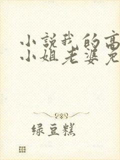 小说我的高冷大小姐老婆免费看