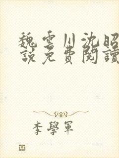 魏云川沈昭禾小说免费阅读笔趣阁封面