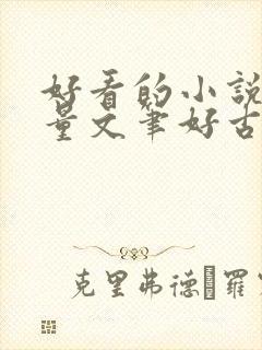 好看的小说高质量文笔好古言封面