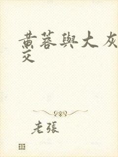 黄蓉与大灰狼淫交封面