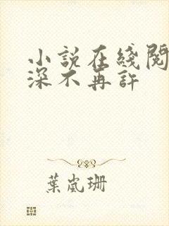 小说在线阅读情深不再许