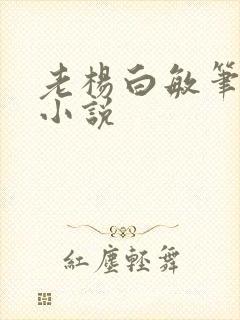 老杨白敏笔趣阁小说