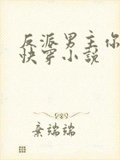 反派男主你好坏快穿小说