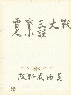 贾宝玉大战王夫人小说