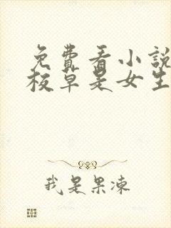 免费看小说国民校草是女生封面