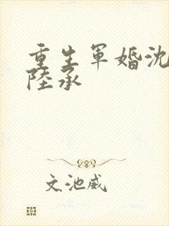 重生军婚沈念和陆承