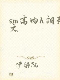 sm高肉h调教文