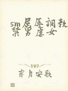 sm屈辱调教囚禁男虐女