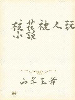 校花被人玩弄的小说