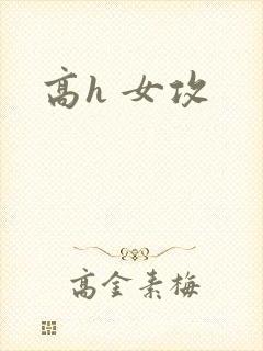 高h 女攻