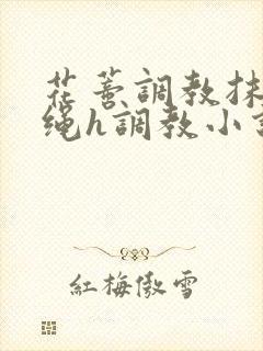 花蒂调教抹药走绳h调教小说