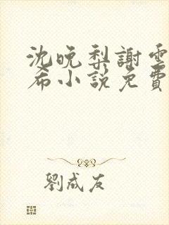 沈晚梨谢云迟叶希小说免费阅读