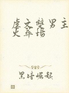 虐文双男主he火葬场