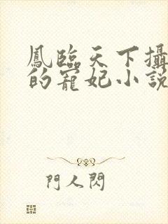 凤临天下摄政王的宠妃小说