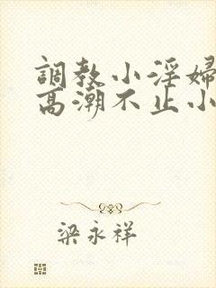 调教小淫妇失禁高潮不止小说