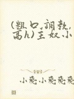 (粗口,调教,高h)主奴小说