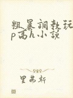 粗暴调教玩弄np高h小说