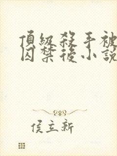 顶级杀手被强制囚禁后小说