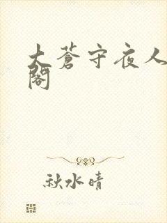 大苍守夜人笔趣阁封面