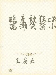 临产被狂c躁到高潮失禁小说封面