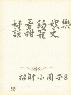 好看的娱乐圈小说甜宠文