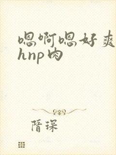 嗯啊嗯好爽啊高hnp肉