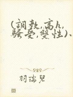 (调教,高h,骚受,双性)小说