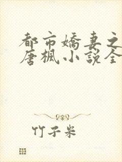 都市娇妻之美女唐枫小说全文阅读