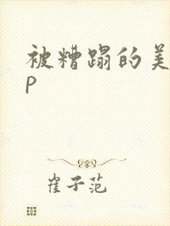 被糟蹋的美人np封面