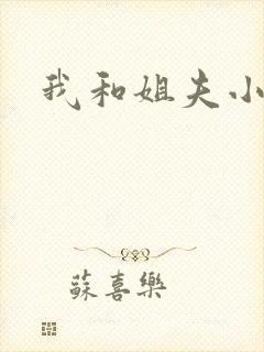我和姐夫小说