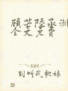 顾芒陆承洲小说全文免费封面