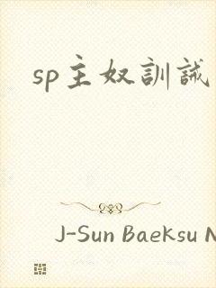 sp主奴训诫文封面