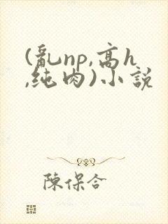 (乱np,高h,纯肉)小说