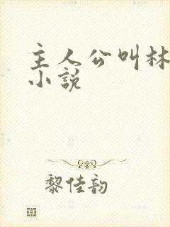 主人公叫林宇的小说