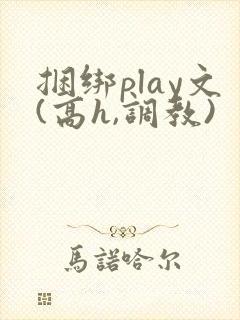 捆绑play文(高h,调教)