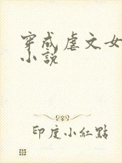 穿成虐文女主的小说