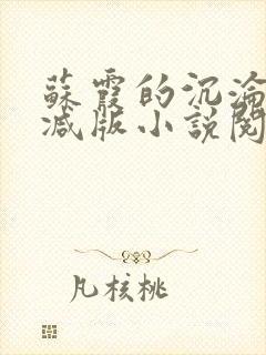 苏霞的沉沦无删减版小说阅读