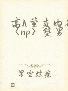 高h荤爽肉欲文〈np〉双男