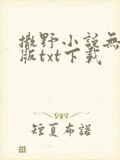 撒野小说无删减版txt下载