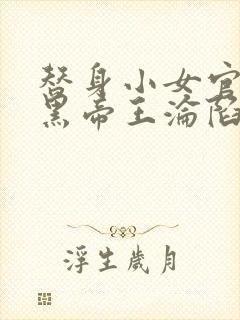 替身小女官,腹黑帝王沦陷了祁渊小说封面