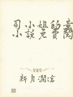 司小姐的意中人小说免费阅读全文最