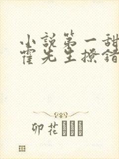 小说第一甜妻:霍先生撩错了