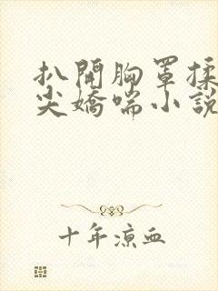 扒开胸罩揉她乳尖娇喘小说封面