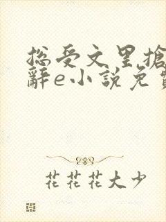 总受文里抢主角辞e小说免费阅读