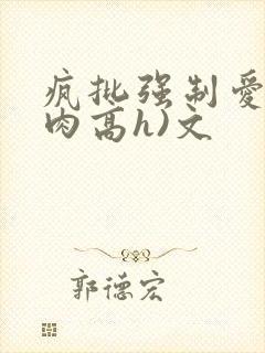 疯批强制爱(巨肉高h)文