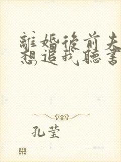 离婚后前夫总是想追我听书