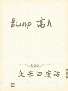 乱np 高h封面