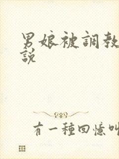 男娘被调教的小说