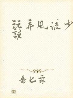 玩弄风流少妇小说封面